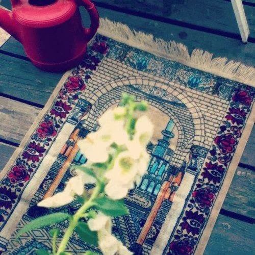 Boşa koydunuz, dolmadı,
Doluya koydunuz, almadı mı?
Bir de alnınızı secdeye koyarak deneyin..