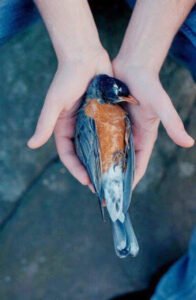 ÖLÜMDEN korkuyorsun değil mi?
Aklına geldikçe sıkıntı basıyor.. Uğur Akkafa