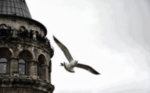 Terk-i diyar etsem;
Terkeder mi beni de bu içimdeki çıkmazlar..