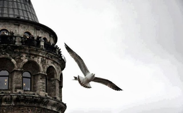 Terk-i diyar etsem;
Terkeder mi beni de bu içimdeki çıkmazlar..