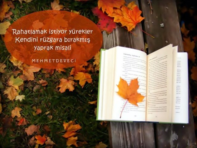 Rahatlamak istiyor yürekler.
Kendini rüzgara bırakmış yaprak misali