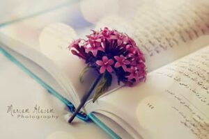 Önemli olan yaşamak değildir, başarmak hiç değildir. Önemli olan insan kalmayı bilmektir.