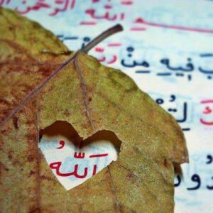 Yüzüm kime dönük olursa olsun… Yüreğim hep sana dönük olacak ”RABBİM ‘