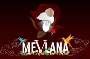 Yolun Kenarına Diken Eken Adam – Hz Mevlana Mesneviden hikayeler