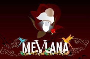 Sevgilinin Cevabı – Hz Mevlana Mesneviden hikayeler