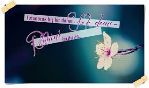 Bu kadar kırık liman yeter. İlâhi aşka yelkenler fora!