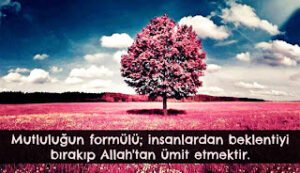 Mutluluğun Formülü ;  İnsanlardan beklentiyi bırakıp Allah’tan ümit etmektir