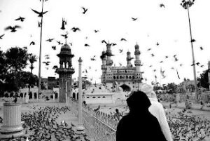 Seven sevdiğinin gönlünü etmeden su bile içmez. . .   – Hz. Fatıma (r.a)