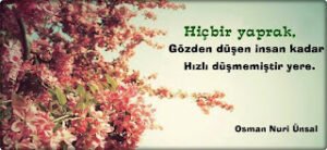 Hiçbir yaprak, gözden düşen insan kadar hızlı düşmemiştir yere