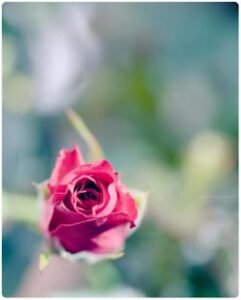 Eşim olma, karım ol! – Halil Çalışkan