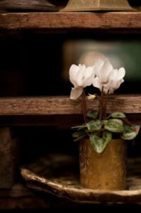 Ben artık korkmuyorum her şeyde bir hikmet var. Gecenin sonu seher, kışın sonunda bahar