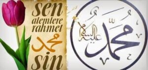 " Seni özlemek ne çok bereketliymiş,
Özle özle bitmiyor ya Rasulallah ! (s.a.v.)"