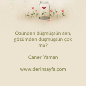 Özünden düşmüşsün sen, gözümden düşmüşsün çok mu?

Caner Yaman