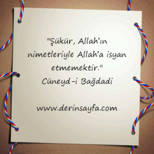 "Şükür, Allah’ın nimetleriyle Allah’a isyan etmemektir."
Cüneyd