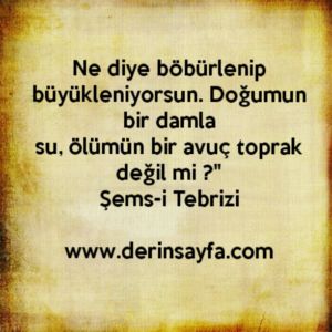 Ne diye böbürlenip büyükleniyorsun. Doğumun bir damla
su.."
Şems