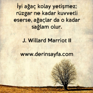 İyi ağaç kolay yetişmez; rüzgar ne kadar kuvvetli eserse, ağaçlar da o kadar sağlam olur.