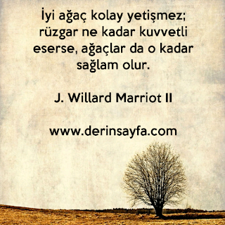 İyi ağaç kolay yetişmez; rüzgar ne kadar kuvvetli eserse, ağaçlar da o kadar sağlam olur.