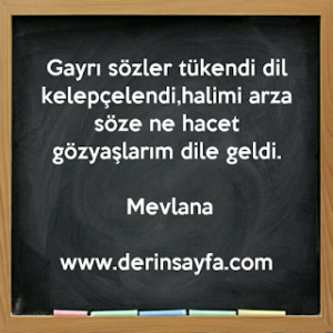 Gayrı sözler tükendi dil kelepçelendi,halimi arza söze ne hacet gözyaşlarım dile geldi. Mevlana