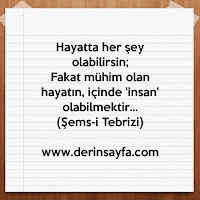 Hayatta her şey olabilirsin;Fakat mühim olan hayatın, içinde insan olabilmektir…Şems