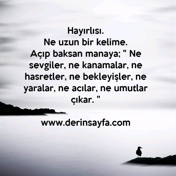 Hayırlısı.
Ne uzun bir kelime.
Açıp baksan manaya..