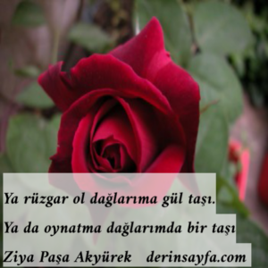 Ya rüzgar ol dağlarıma gül taşı.
Ya da oynatma dağlarımda bir taşı. Ziya Paşa Akyürek