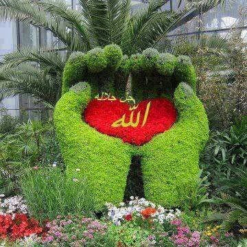 Müminler, yalnız Allah’a tevekkül etsinler. 3