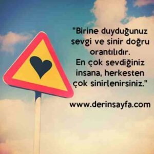 "Birine duyduğunuz sevgi ve sinir doğru orantılıdır.
En çok sevdiğiniz insana, herkesten çok sinirlenirsiniz."