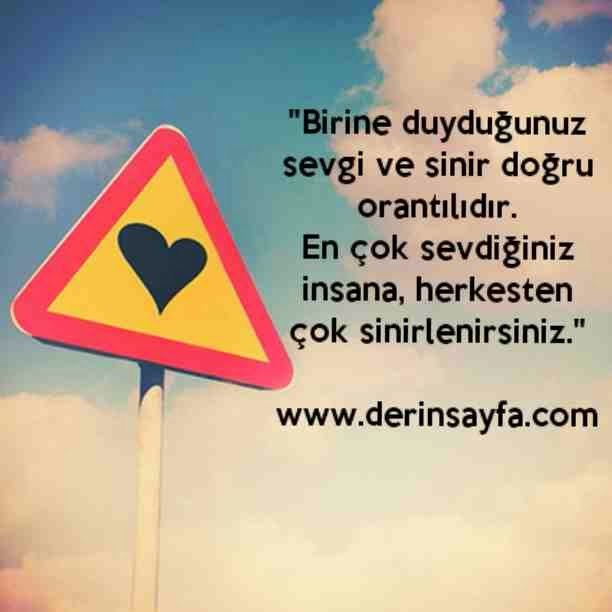 "Birine duyduğunuz sevgi ve sinir doğru orantılıdır.
En çok sevdiğiniz insana, herkesten çok sinirlenirsiniz."