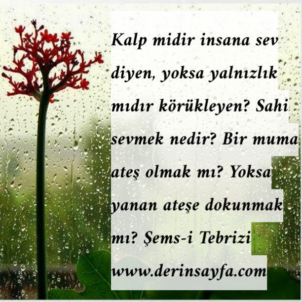 Kalp midir insana sev diyen, yoksa yalnızlık mıdır körükleyen? Sahi sevmek nedir? Bir muma ateş olmak mı? Yoksa yanan ateşe dokunmak mı?