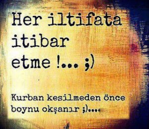 Her iltifata itibar etme !  Kurban kesilmeden önce boynu okşanır.