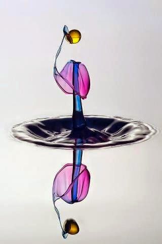 “Kurtuluş için hürriyet ve iffete dikkat edin.”  |Hazreti Gavs-ı Kasrevî [kuddise sırruhû]