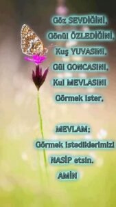 Göz SEVDİĞİNİ,Gönül ÖZLEDİĞİNİ,Kuş YUVASINI,Gül GONCASINI,Kul MEVLASINI görmek ister,MEVLAM görmek istediklerimizi NASİP etsin.’Amin..