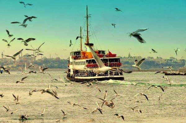 Affetmek için iki kişilik erdem lazım..
Hem onu affetmek, hem onu affettiği için kendini affetmek..
(O.Welles)