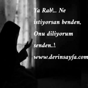 Ya Rab!.. Ne istiyorsan benden, Onu diliyorum senden..!