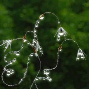 “Allah kullarının her şeyini duyuyor, her şeyini görüyor. Bundan hiç şüpheniz olmasın!”  İsra Sûresi 96. Ayeti