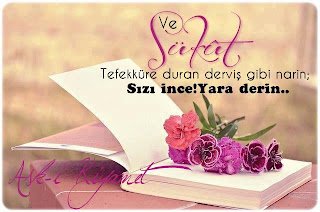 “Ve Sükût.. Tefekküre duran derviş gibi narin;  Sızı ince! Yara derin…”