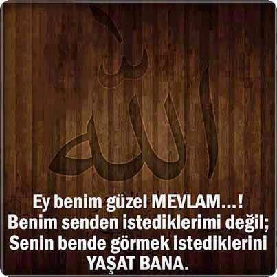 Ey benim güzel MEVLAM..Benim senden istediklerimi değil;senin bende görmek istediklerini yaşat bana