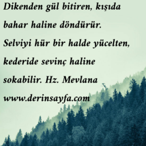 Dikenden gül bitiren, kışıda bahar haline döndürür. Selviyi hür bir halde yücelten, kederide sevinç haline sokabilir. Hz. Mevlana