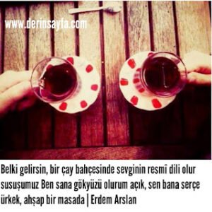 Belki gelirsin, bir çay bahçesinde sevginin resmî dili olursusuşumuz..