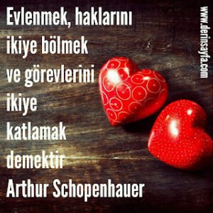 Evlenmek, haklarını ikiye bölmek ve görevlerini ikiye katlamak demektir. Arthur Schopenhauer