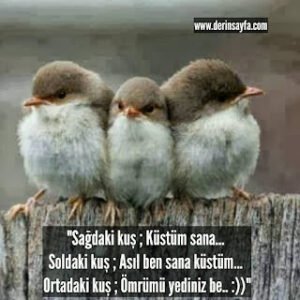 “Sağdaki kuş ; Küstüm sana… Soldaki kuş ; Asıl ben sana küstüm… Ortadaki kuş ; Ömrümü yediniz be.. :))”