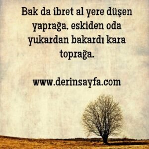 “Bak da ibret al yere düşen yaprağa, eskiden oda yukardan bakardı kara toprağa.”