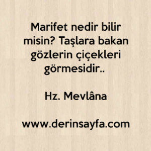 Marifet nedir bilir misin? Taşlara bakan gözlerin çiçekleri görmesidir..  Hz. Mevlâna