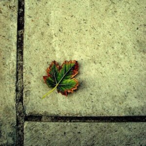 Meğer ilim gerideymiş, illâ edeb illâ edeb  ~ Neşâtî