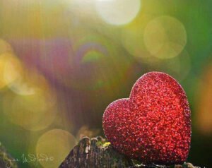 Tasavvuf nedir diye bir uluya sordular da, “gam ve keder zamanında kalbinde ferah bulmaktır” cevabını verdi.  [Hz.Mevlâna]