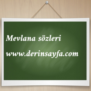Özlü ve yön gösterici Mevlana sözleri