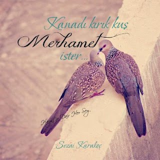 Kanadı kırık kuş merhamet ister…  Sezai Karakoç