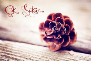 Durup dururken, birden iç çeken bir nefesle; ‘ALLAH’ım çok şükür ya Rabbim’ diyen yaşlı insanlar, kâinatı ayakta tutan sütunlara dahildirler.  | Güven ADIGÜZEL |