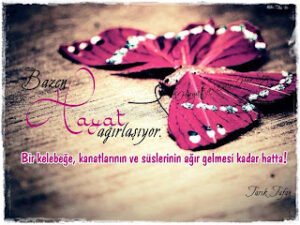 Bazen hayat ağırlaşıyor. Bir kelebeğe, kanatlarının ve süslerinin ağır gelmesi kadar hatta!  Tarık Tufan
