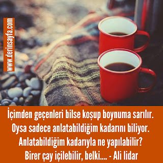 İçimden geçenleri bilse koşup boynuma sarılır. Oysa sadece anlatabildiğim kadarını biliyor. Ali lidar